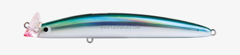 Sand Eel, transparent png #1510780