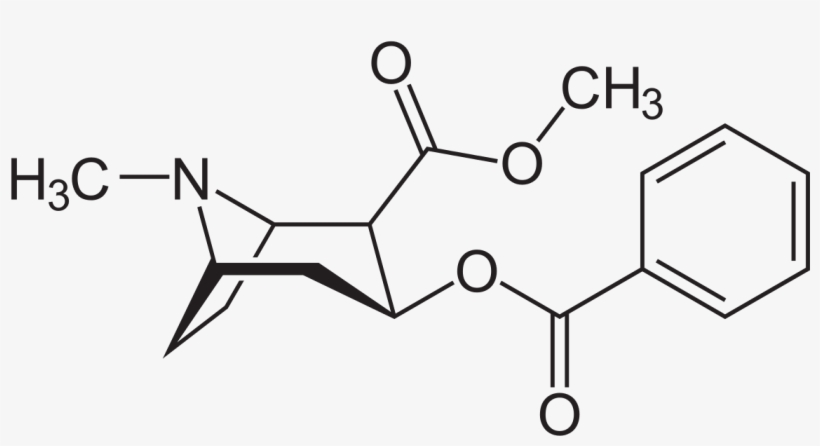 Cocaine Molecule, transparent png #1510855