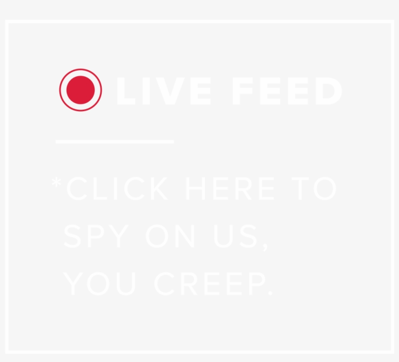 Start A Project - Circle, transparent png #1513176