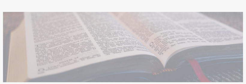 Meet The Counselors - Favor Or Luck? A Mini Autobiography, transparent png #1513601