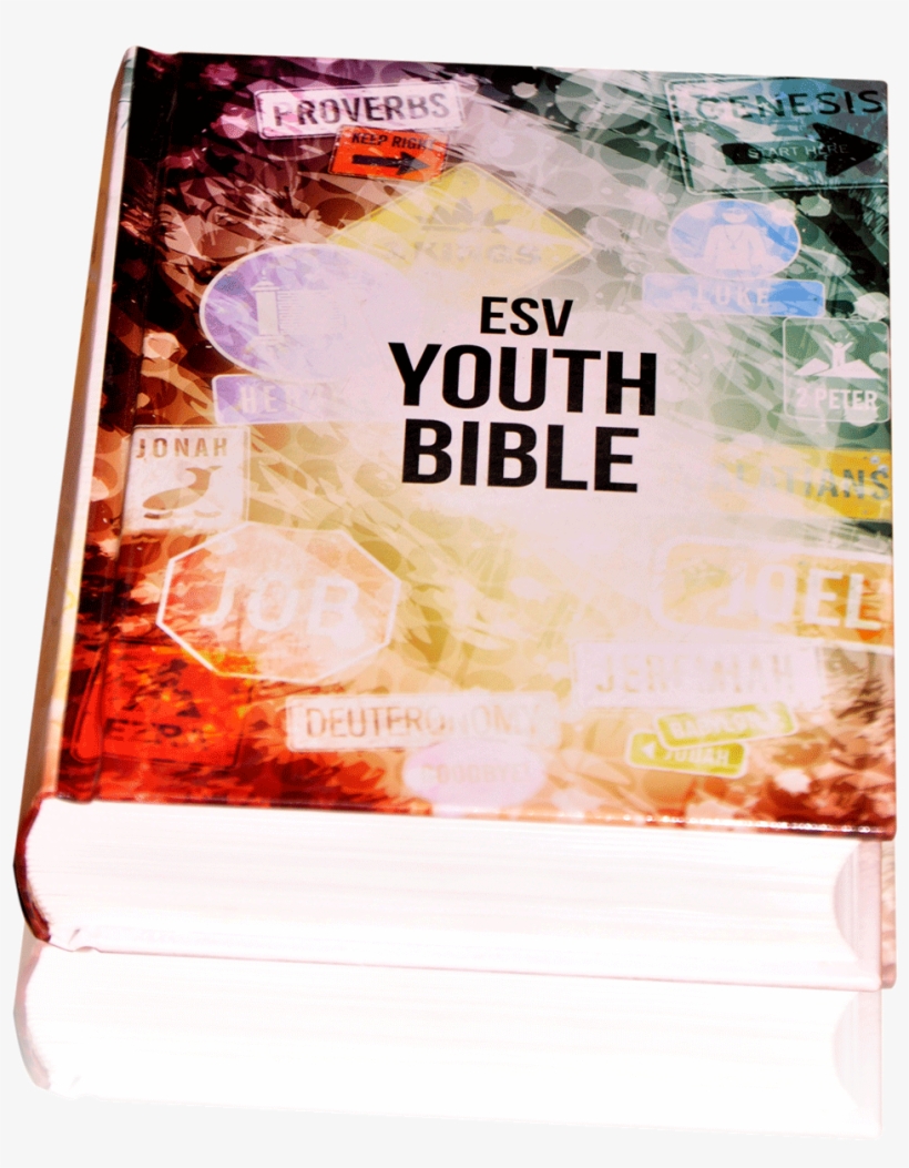 Psbesv Youth Bible - Flyer, transparent png #1513695