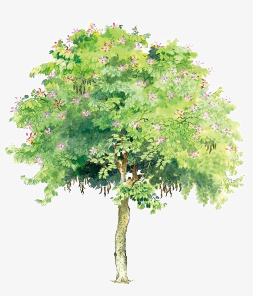 Pintado A Mano De Pintura Al Óleo Arbol Alta Definicion - Free Image Of Tree, transparent png #1514119