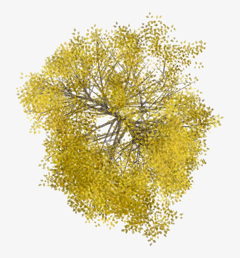 Arboles Png, transparent png #1514250