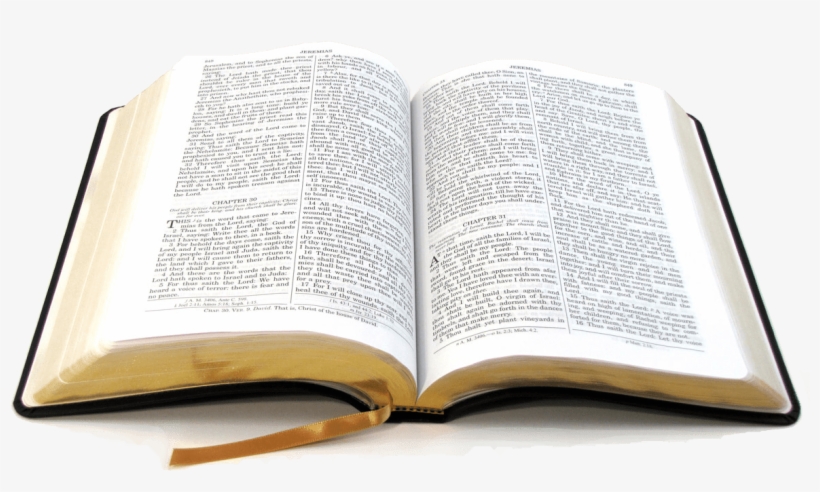 Bible - Bible For Beginners: A Basic Guide For Beginners, transparent png #1514292