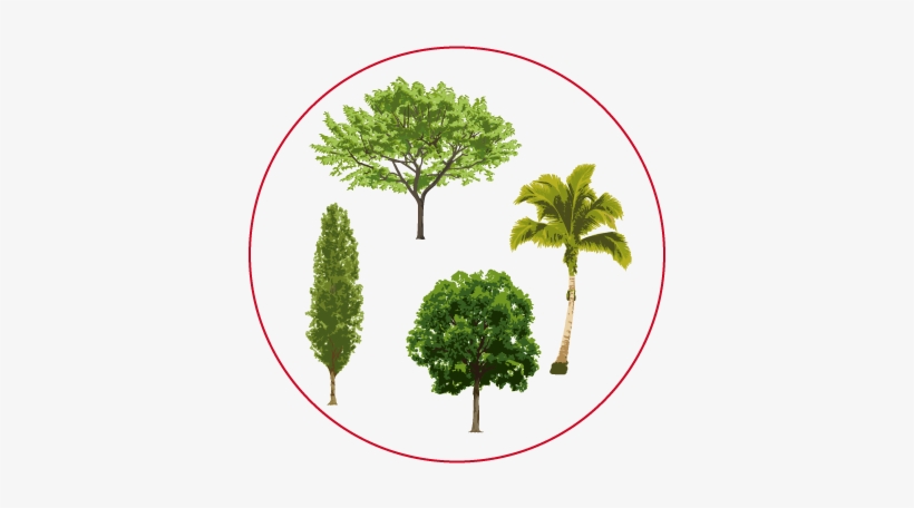 Conjunto-arboles - Misfits, transparent png #1514425