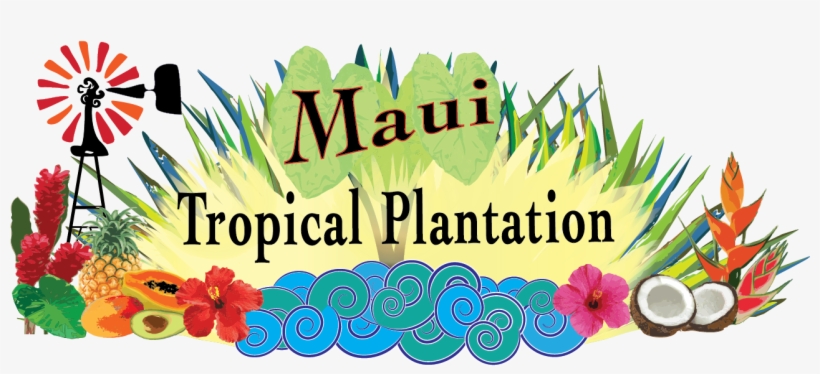 Maui Mountain Cruisers - Maui Tropical Plantation Logo, transparent png #1514440