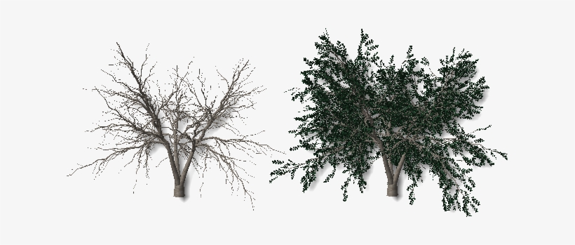 Leaves-001 - Arboles Sin Hojas Png, transparent png #1514441