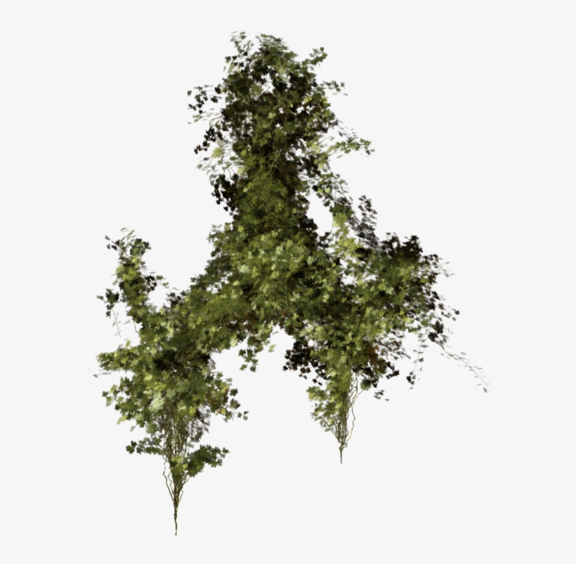 Green Leaves Png Images Free Download Pictures - Végétation Png, transparent png #1514520