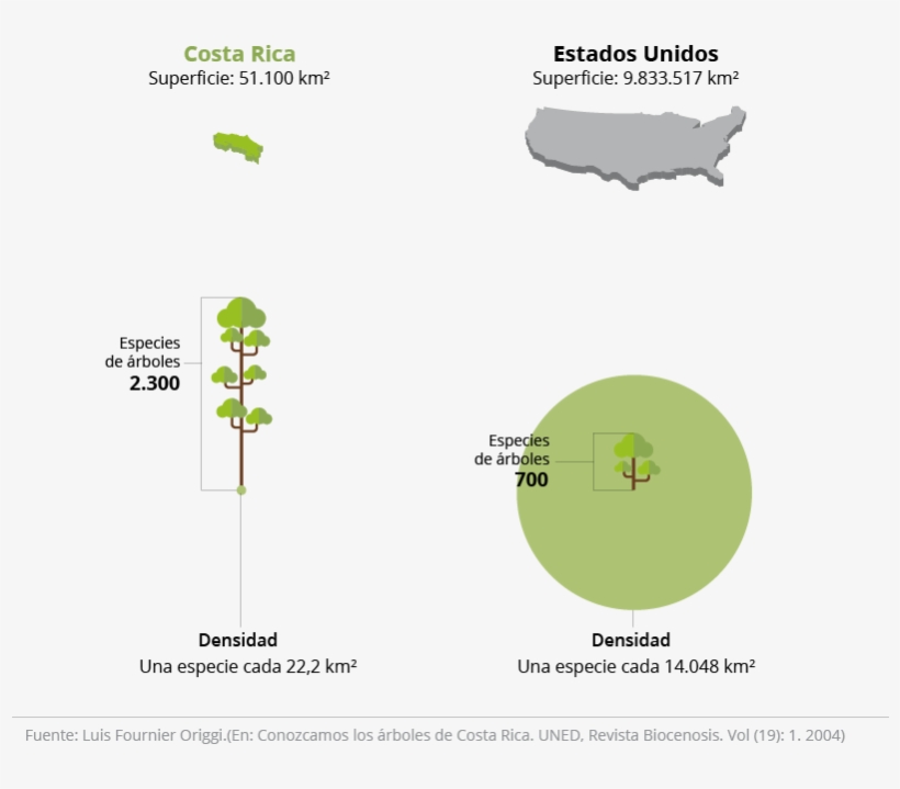Lamentablemente, En Muchos Lugares No Han Comprendido - Cobertura Boscosa De Costa Rica Grafico, transparent png #1514738