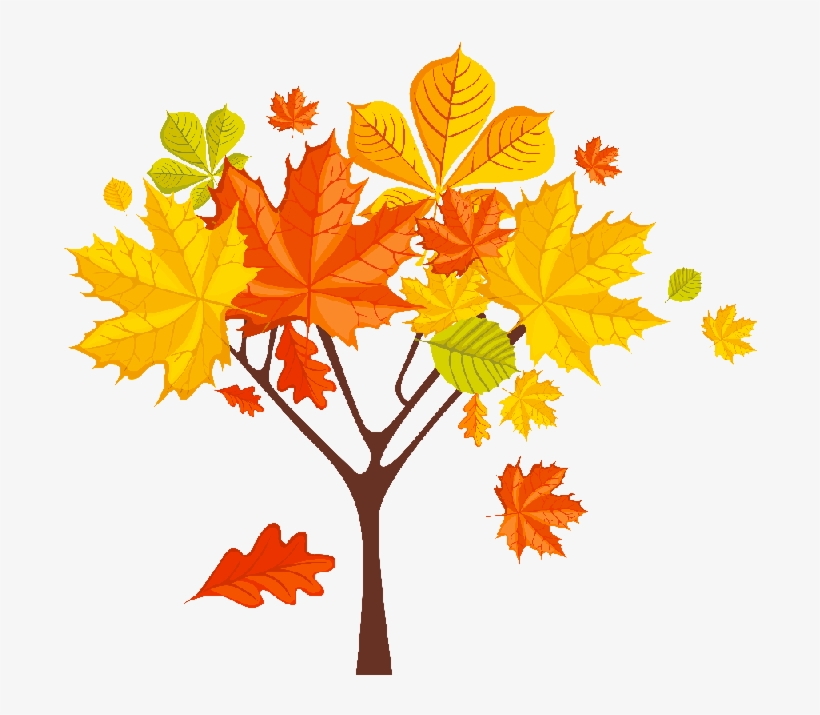 Menta M - Three Leaves Shower Curtain, transparent png #1514762