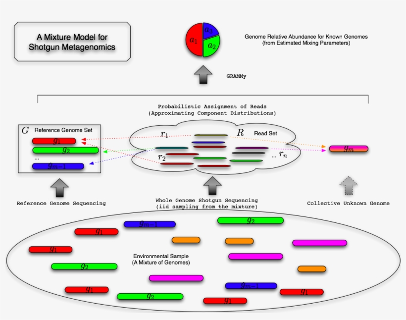 Grammy - Model - Mixture, transparent png #1514819