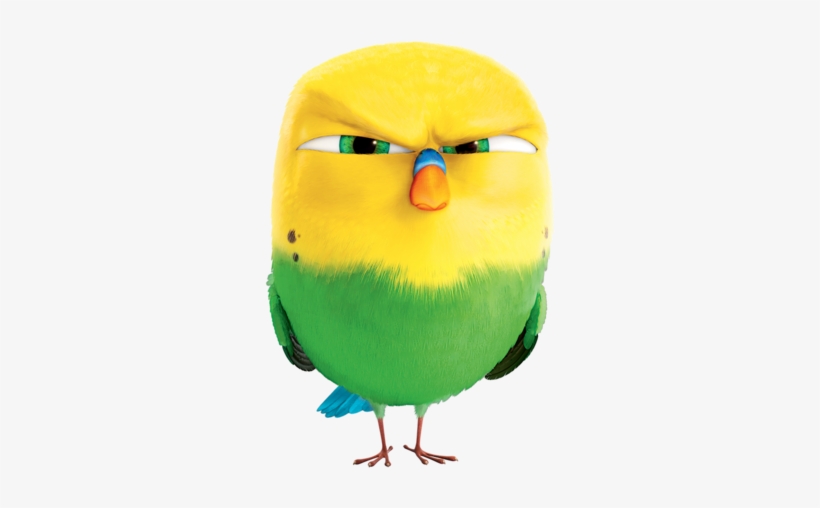 Персонаж Мультфильма «тайная Жизнь Домашних Животных» - Secret Life Of Pets Sweetpea, transparent png #1515359