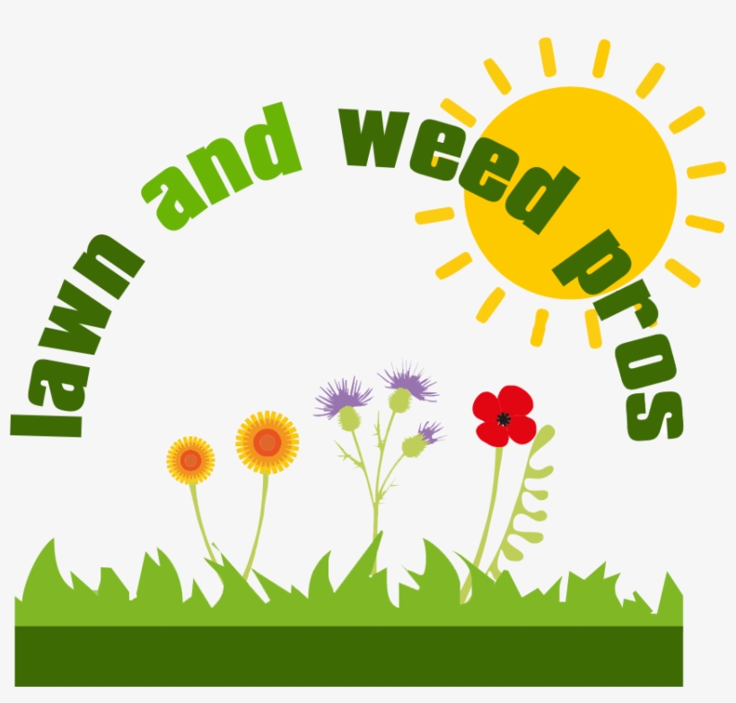Weed Clipart Moss - Weed Lawn Clipart, transparent png #1515643
