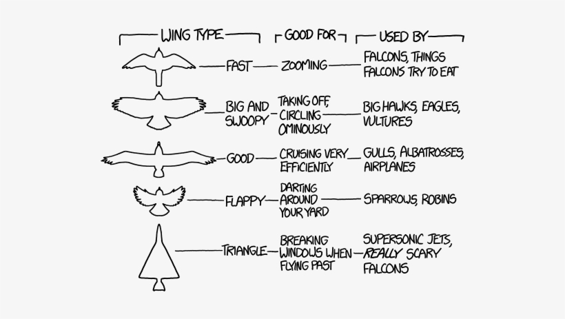 Birds - Different Bird Wing Types, transparent png #1515668