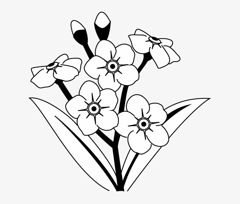 Banner Royalty Free Library Black And White Google - Black And White Forget Me Not Clip Art, transparent png #1517690