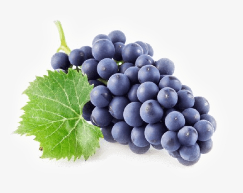 Free Png Grape Png Png Images Transparent - Grape Png, transparent png #1518111