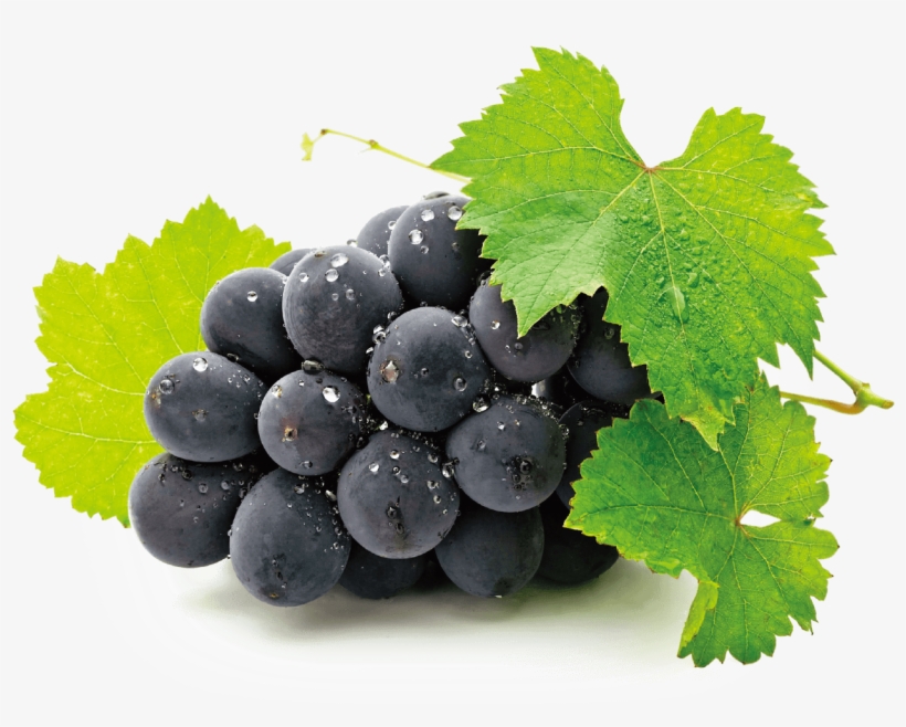 Kyoho - Aluminum Photo Panel (11"x14"), transparent png #1518525