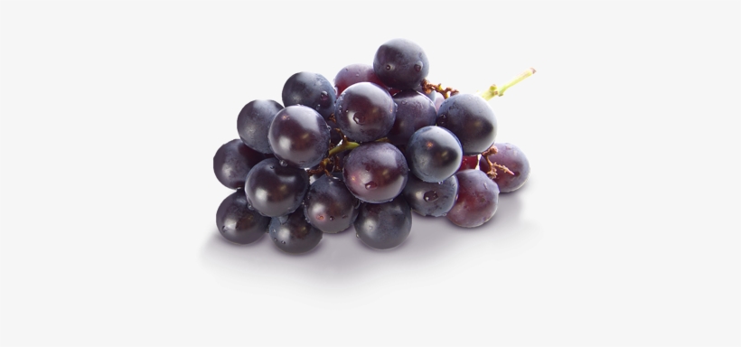 Grape Transparent Png - Dr. Marder Dry, Itchy Scalp Dandruff Shampoo, 6 Oz,, transparent png #1518688