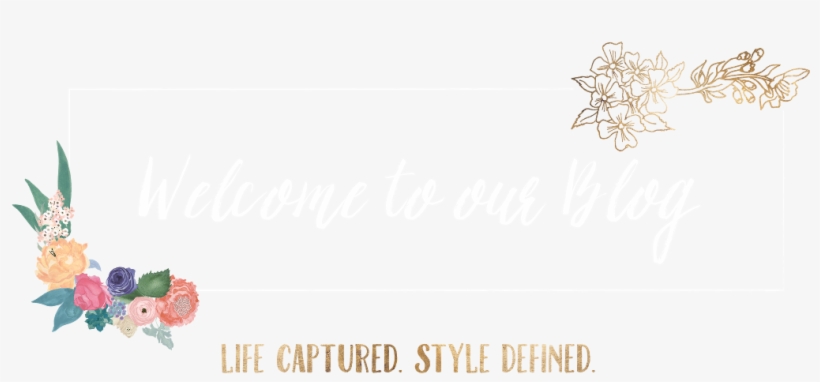 Blog Header - Armadillo, transparent png #1518843