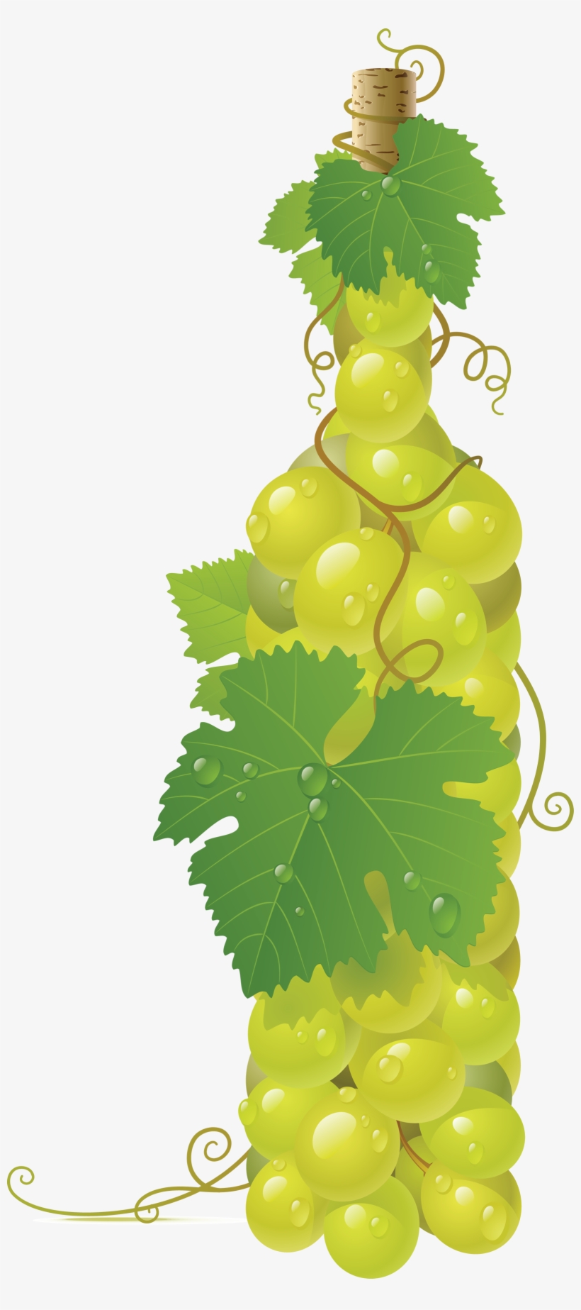 Best Free Grape Png Picture - Grapes Vector, transparent png #1518998