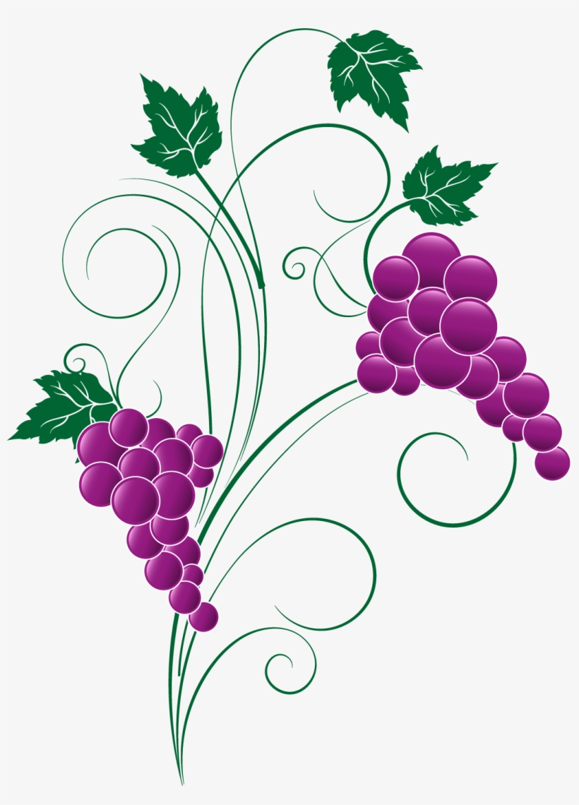 Amazing Grape Clipart Png Image X Grape Png Transparent - Png Transparent Clipart Grapes, transparent png #1519019