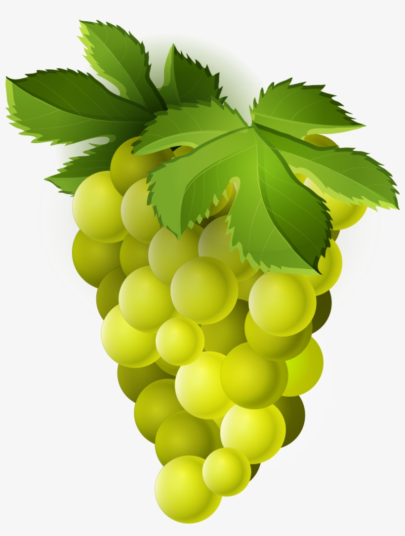 Grape Png Trans - Green Grapes Fruit Clipart Png - Free Transparent PNG ...