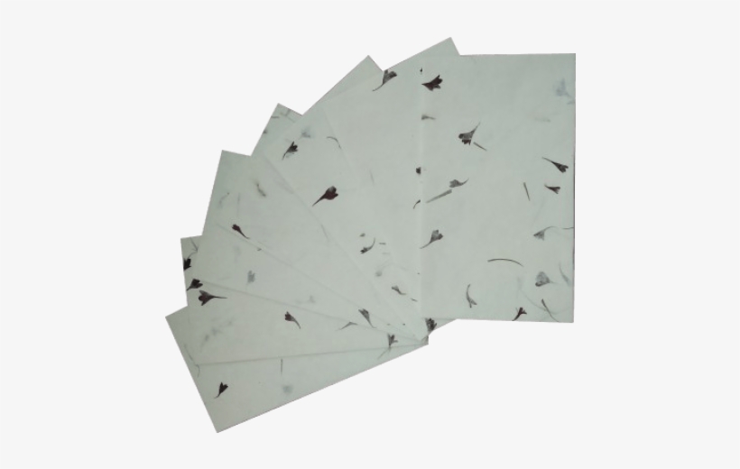 Plywood, transparent png #1519837