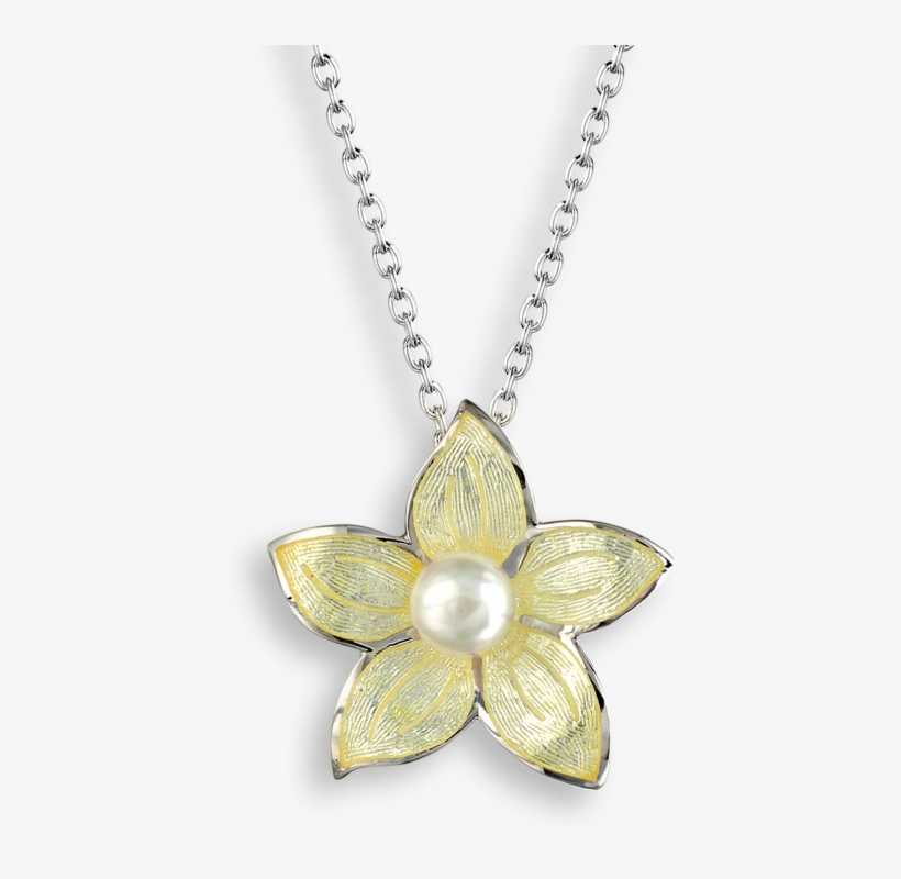 More Views - Forget Me Not Necklace, transparent png #1520065