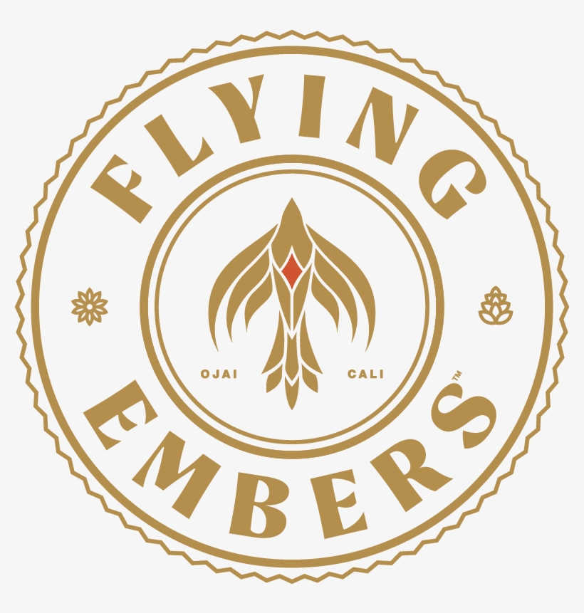 Flying Embers - Circle, transparent png #1520180