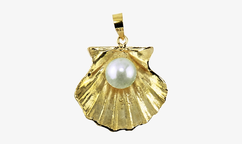 Scallop Pearl Pendant - Pendant, transparent png #1520418