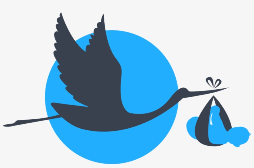 Baby Boy Stork Png Picture Royalty Free Download - Stork Baby Png, transparent png #1520960
