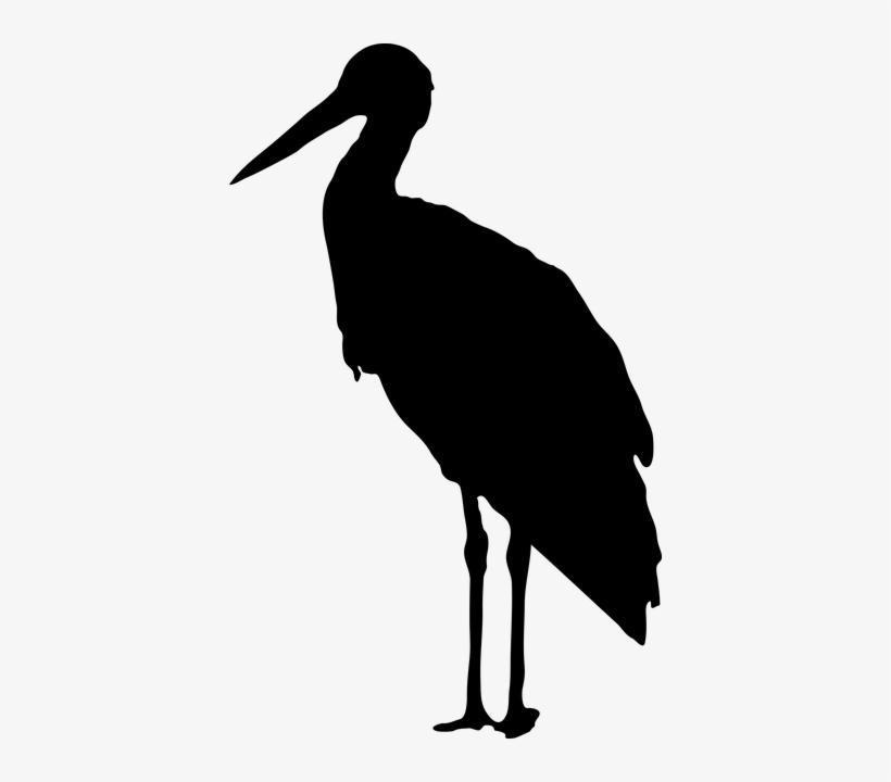 Stork Silhouette - Stork Bird Silhouette, transparent png #1521028