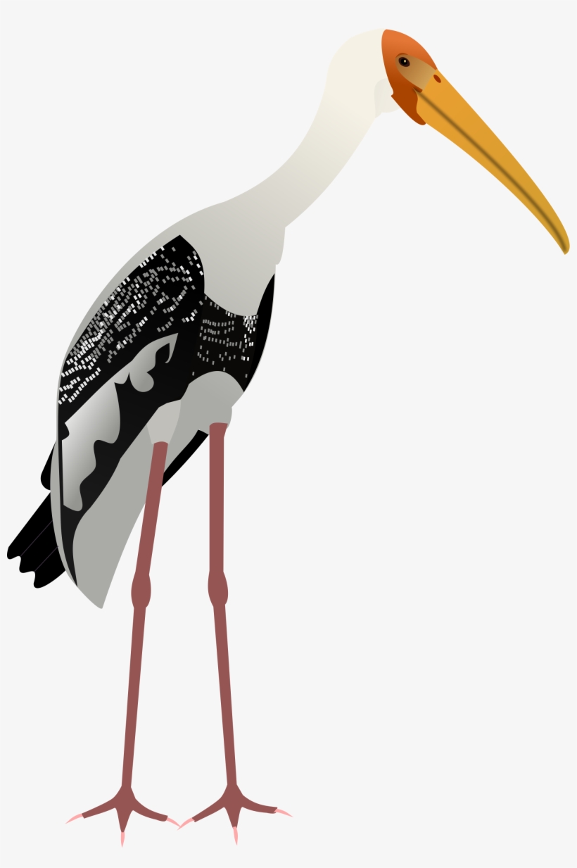 Open - Painted Stork Vector, transparent png #1521182