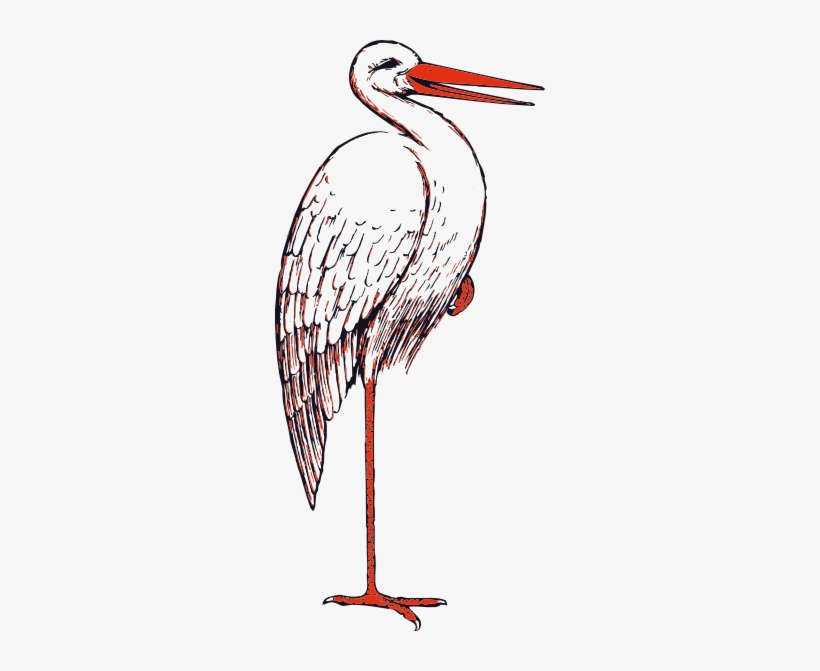Stork In Color Svg Clip Arts 270 X 591 Px, transparent png #1521529