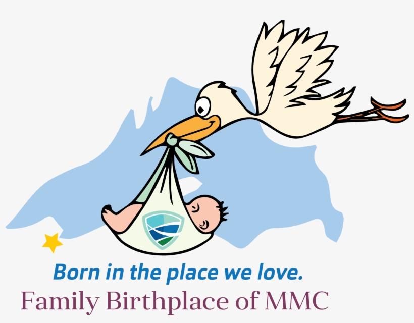 Family Birthplace Stork - Stork Delivering A Baby Shower Curtain, transparent png #1521594