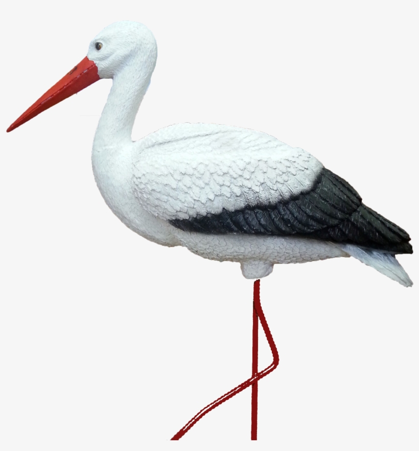 Stork Png - Аист Картинка, transparent png #1521615