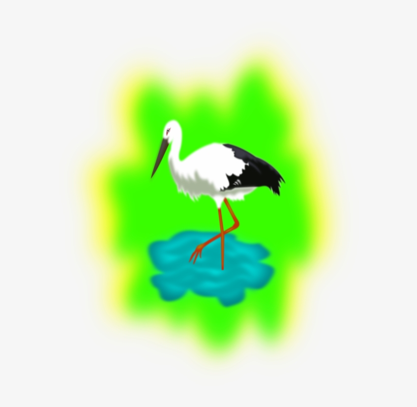 White Stork Water Bird Crane Beak - Stork In Water Clipart, transparent png #1521650