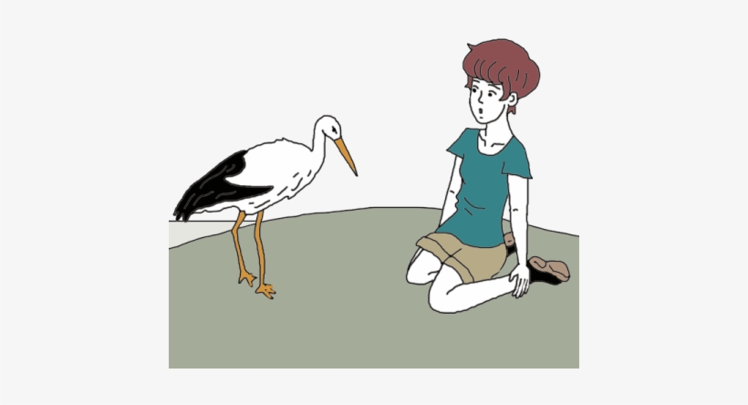Stork, transparent png #1521677