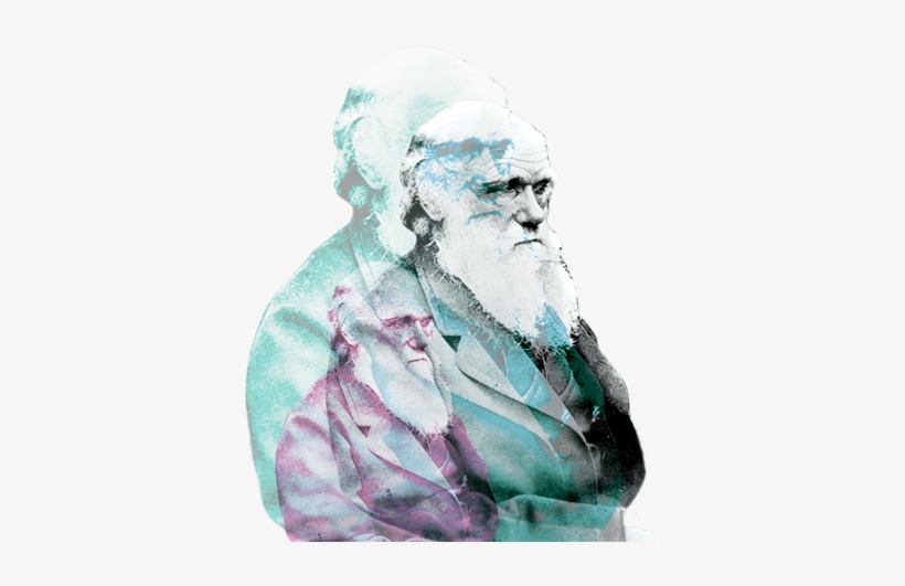 Contact - Darwin And Darwinism 150 Years Later: Biblical Faith, transparent png #1521991