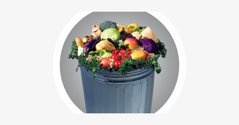Love Food Not Waste Poster1 - Food In Trash, transparent png #1522704