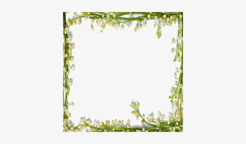 May Flower Frame Lily Of The Valley Frame - Flower Border, transparent png #1522930