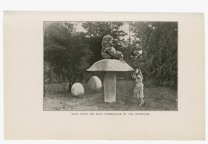 Photograph, transparent png #1523004