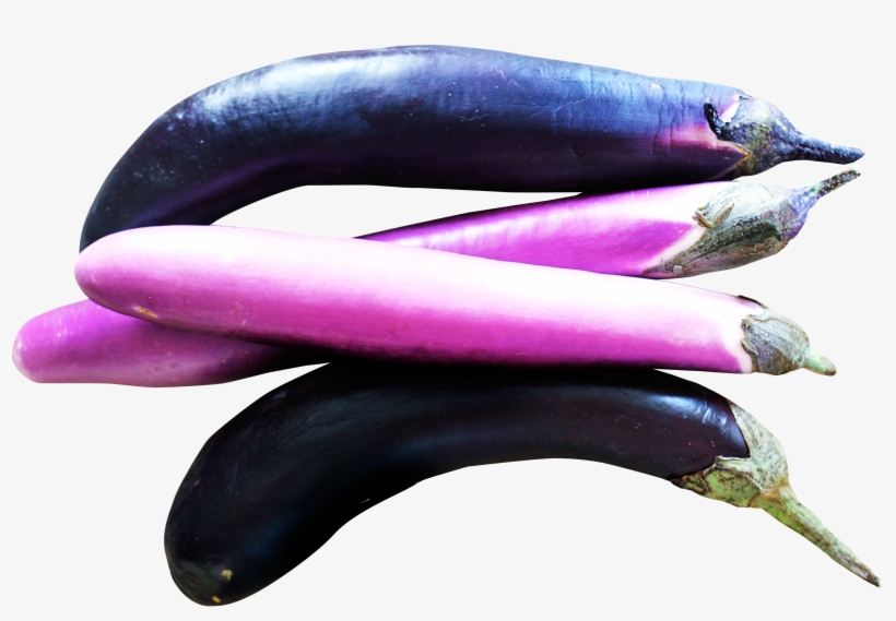 Plante Aubergine Clipart Transparent, transparent png #1523521