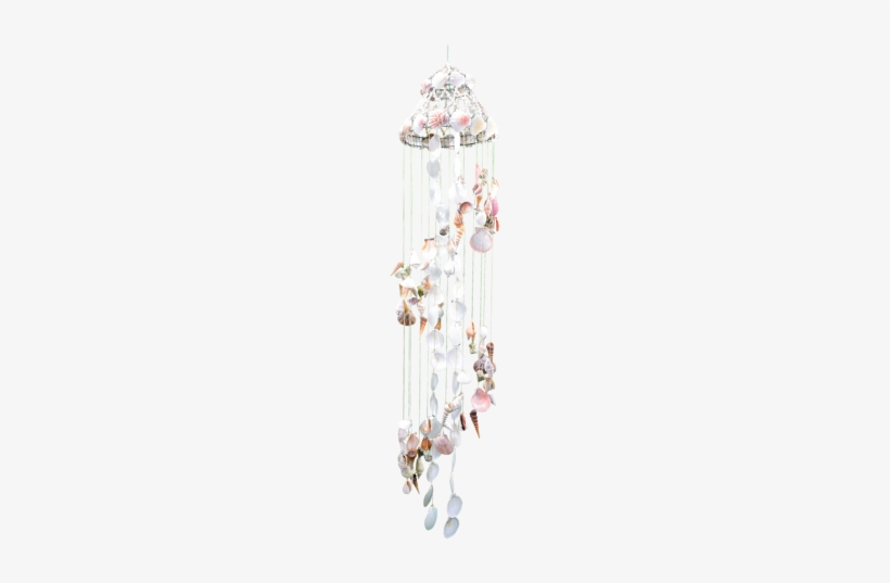 Seashell Chandelier 10x48"-white Moon, transparent png #1523661
