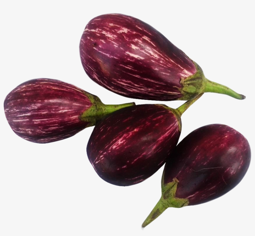 Png Freeuse Brinjal Png Image Purepng Free Cc Library - Eggplant, transparent png #1523866