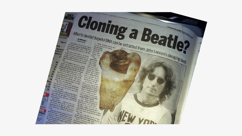 Photo Gallery - John Lennon - Nyc - Wall Poster By John Lennon, transparent png #1524068