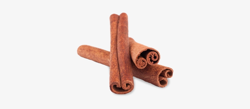 Ceylon Cinnamon - Draw A Cinnamon Stick, transparent png #1524375