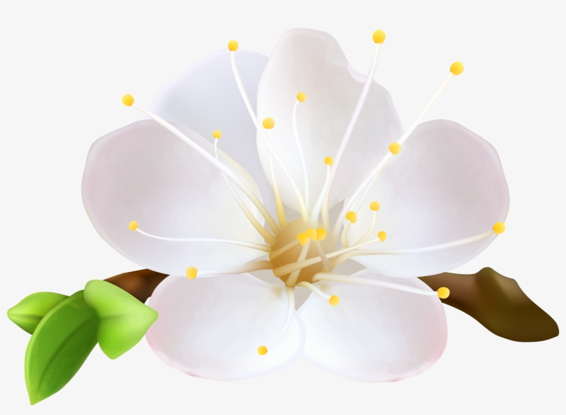 Featured image of post Laranja Flor Moana Png Download moana png free icons and png images