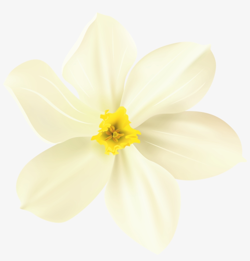Spring Flower Png, transparent png #1524898