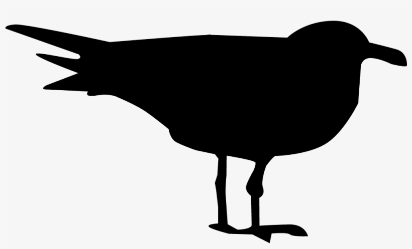 Seagulls Silhouette At Getdrawings - Ring Billed Gull Silhouette, transparent png #1525532